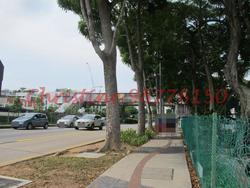 Park Residences Kovan (D19), Apartment #98574412